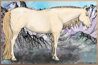 Horse Color:Buckskin Roan Pearl  and Buckskin Roan Pearl 