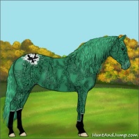 Horse Color:Watercolor Black Ice Appaloosa 