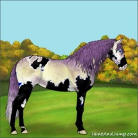 Horse Color:Watercolor Liver Red Onyx Ice Sabino Splash Varnish