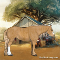 Horse Color:Chestnut  and Chestnut 