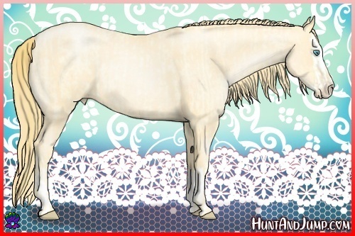Horse Color:Buckskin Roan Pearl  and Buckskin Roan Pearl Splash 