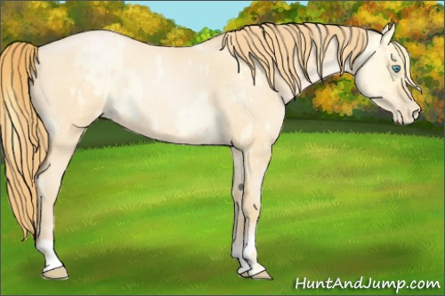 Horse Color:Buckskin Roan Pearl  and Buckskin Roan Pearl 
