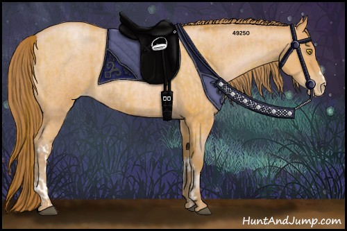 Horse Color:Bay Roan Pearl  and Bay Roan Pearl 