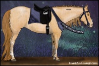 Horse Color:Bay Roan Pearl  and Bay Roan Pearl 
