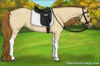 Horse Color:Red Dun Roan Tobiano 
