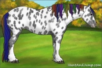 Horse Color:Painted Black Ice Appaloosa