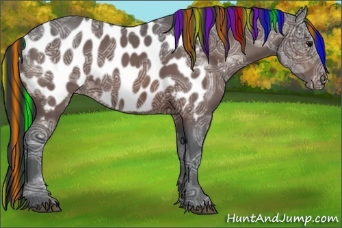 Horse Color:Painted Brown Ice Appaloosa 