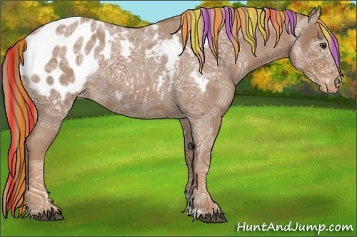 Horse Color:Painted Red Ice Roan Appaloosa 