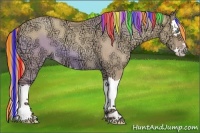 Horse Color:Painted Gold Champagne Ice Roan Dun Splash 