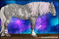 Horse Color:Silver Amber Champagne Ice Roan Dun Splash Rabicano