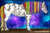 Horse Color:Painted White Spotted Gold Champagne Ice Dun Splash Near Leopard Rabicano 