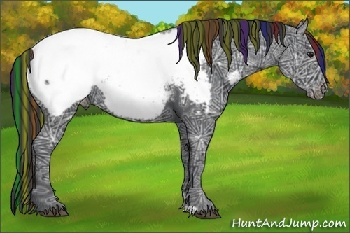 Horse Color:Painted Black Ice Appaloosa 