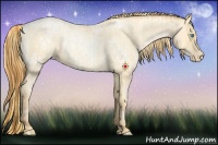Horse Color:Buckskin Roan Pearl Appaloosa  and Buckskin Roan Pearl 