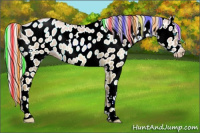 Horse Color:Gray Painted White Spotted Gold Cream Champagne Pearl Dun Appaloosa Rabicano 