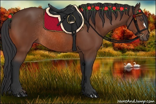 Horse Color:Bay Rabicano 