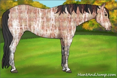 Horse Color:Plaid  Brown Ice 