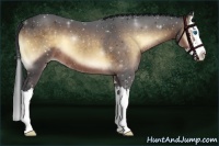 Horse Color:Brown Onyx Sabino Splash 