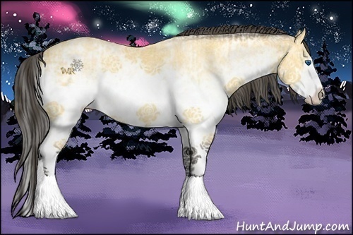 Horse Color:White Spotted Buckskin Roan Dun Splash  and White Spotted Buckskin Ice Sabino Splash Rabicano 
