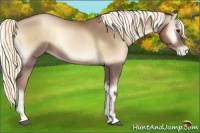 Horse Color:Liver Red Onyx Pearl 