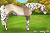 Horse Color:Liver Red Onyx Pearl 