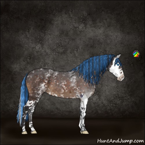 Horse Color:Painted White Spotted Brown Sabino Splash 