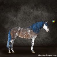 Horse Color:Painted White Spotted Brown Sabino Splash 