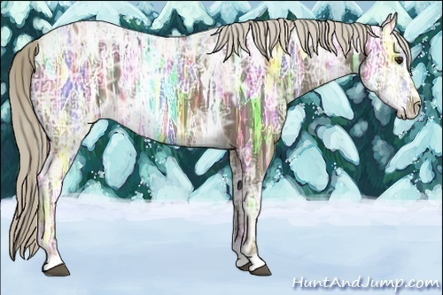 Horse Color:Chocolate Palomino Ice