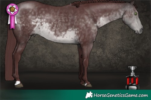 Horse Color:Platinum Chocolate Buckskin 