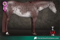 Horse Color:Platinum Chocolate Buckskin