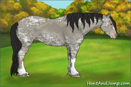 Horse Color:Gray Classic Cream Champagne Ice 