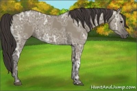 Horse Color:Smoky Grullo Ice 