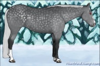 Horse Color:Silver Black Chinchilla Sabino 