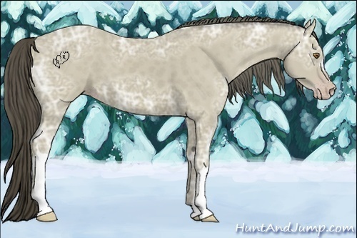 Horse Color:Classic Cream Champagne Ice 