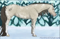 Horse Color:Classic Cream Champagne Ice 