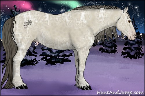 Horse Color:Classic Cream Champagne Ice