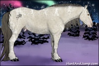 Horse Color:Classic Cream Champagne Ice 