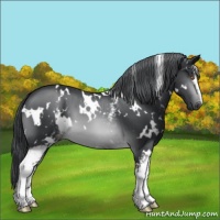 Horse Color:White Spotted Brown Chinchilla Varnish 