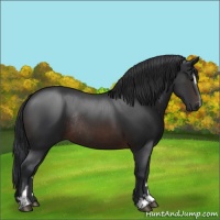 Horse Color:Brown Sabino Rabicano