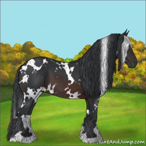 Horse Color:White Spotted Brown 