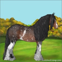 Horse Color:White Spotted Brown Snowflake Varnish 