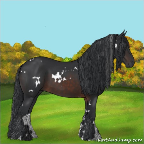 Horse Color:White Spotted Brown 