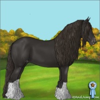 Horse Color:Liver Chestnut Varnish 