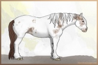 Horse Color:White Spotted Classic Champagne Tobiano Frame Blanket 