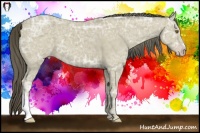 Horse Color:Classic Cream Champagne Ice 