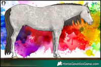 Horse Color:Classic Cream Champagne Ice 
