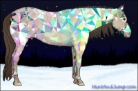 Horse Color:Classic Champagne Dun 