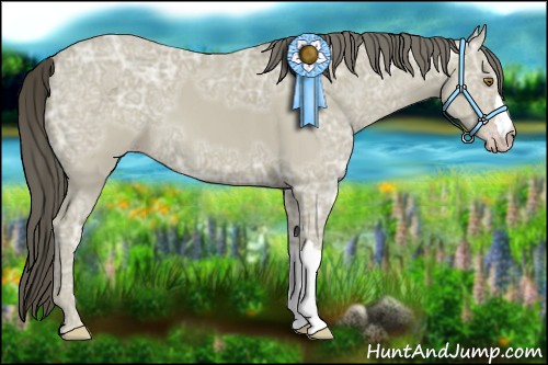 Horse Color:Classic Cream Champagne Ice 