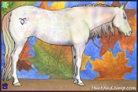 Horse Color:Nacre Palomino Ice Pearl Onyx 