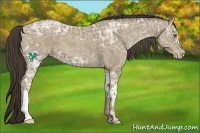 Horse Color:Classic Cream Champagne Ice 