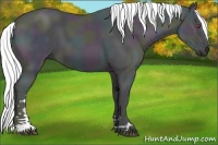 Horse Color:Midnight Chestnut Chinchilla Ice Sabino